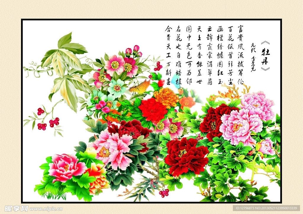 牡丹