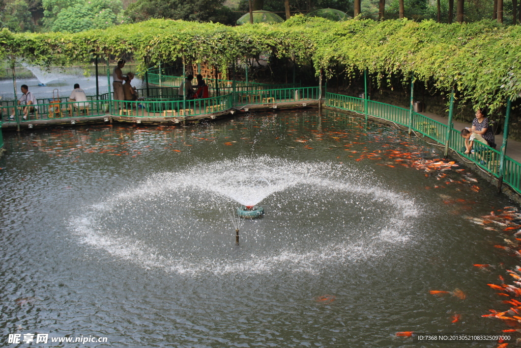 公園魚塘