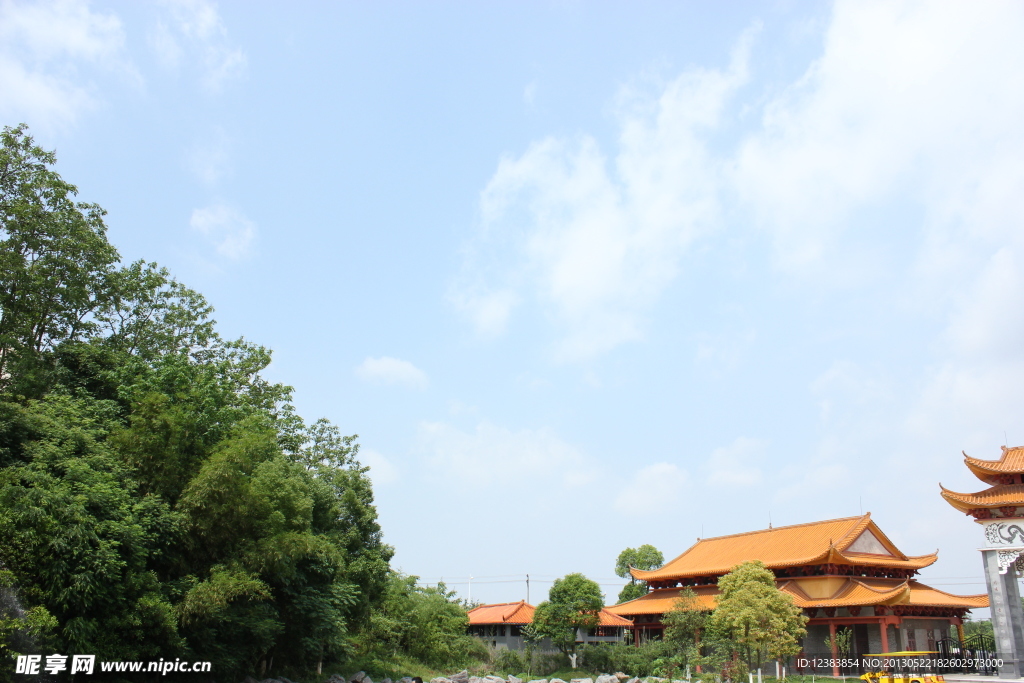 天空 樹林