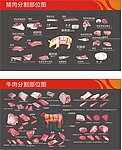 猪肉及牛肉分割图