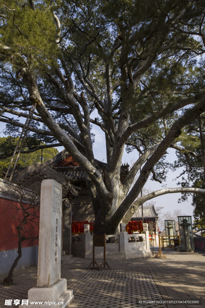 戒臺寺