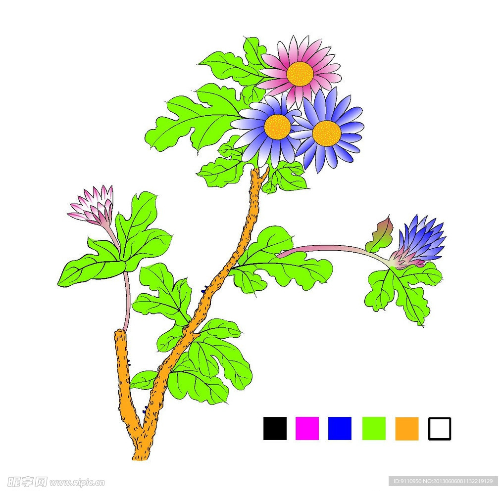秋菊