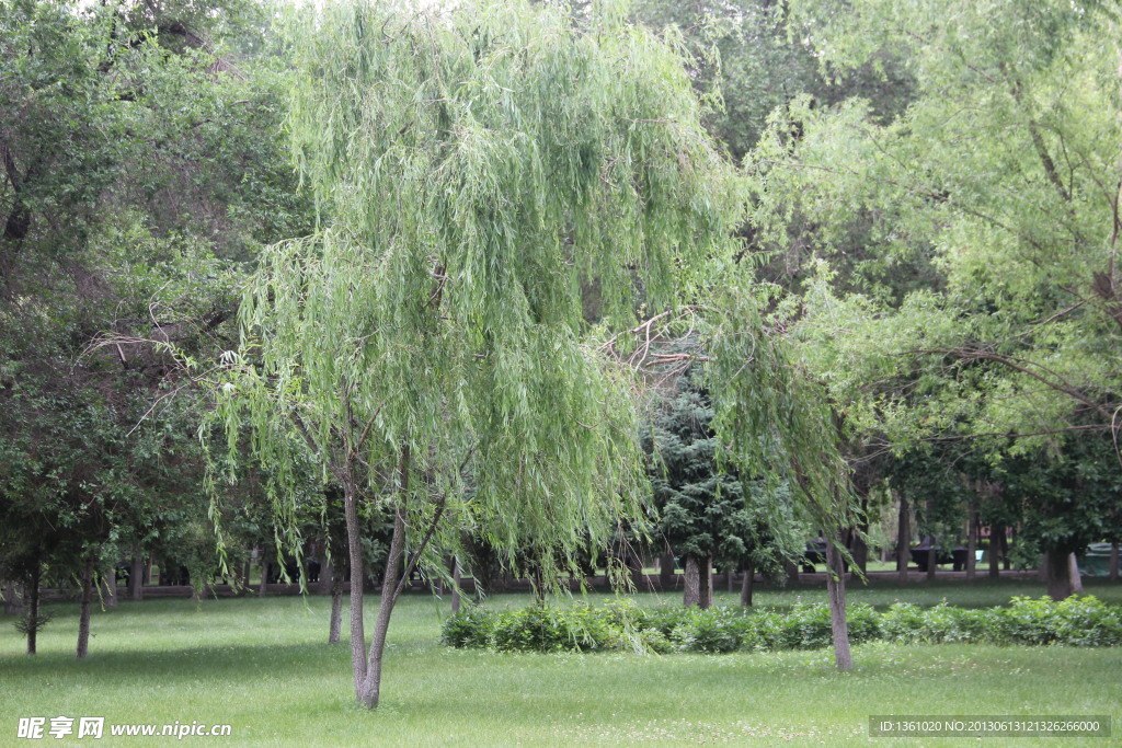 公園景色
