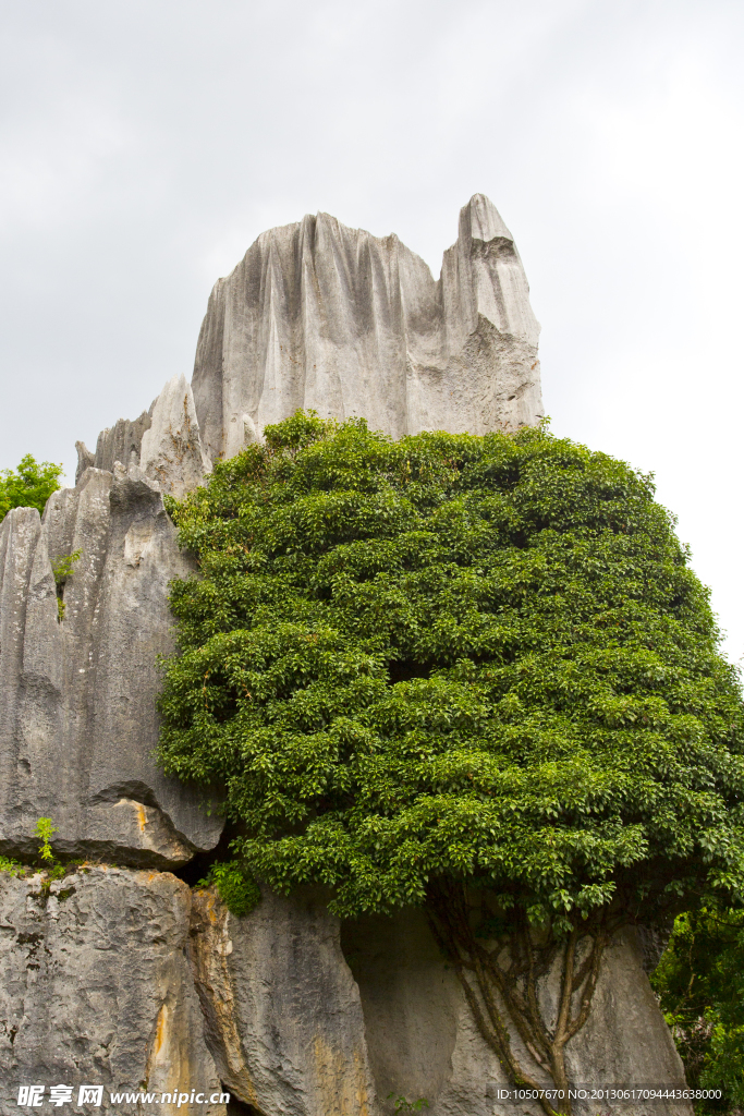 石林風景