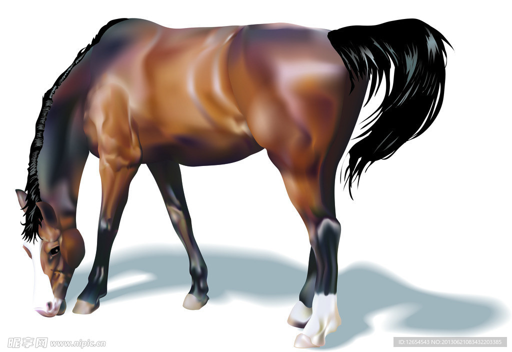 寶馬