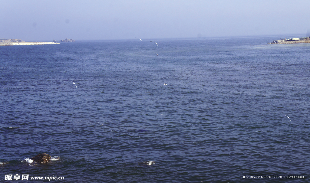 大海