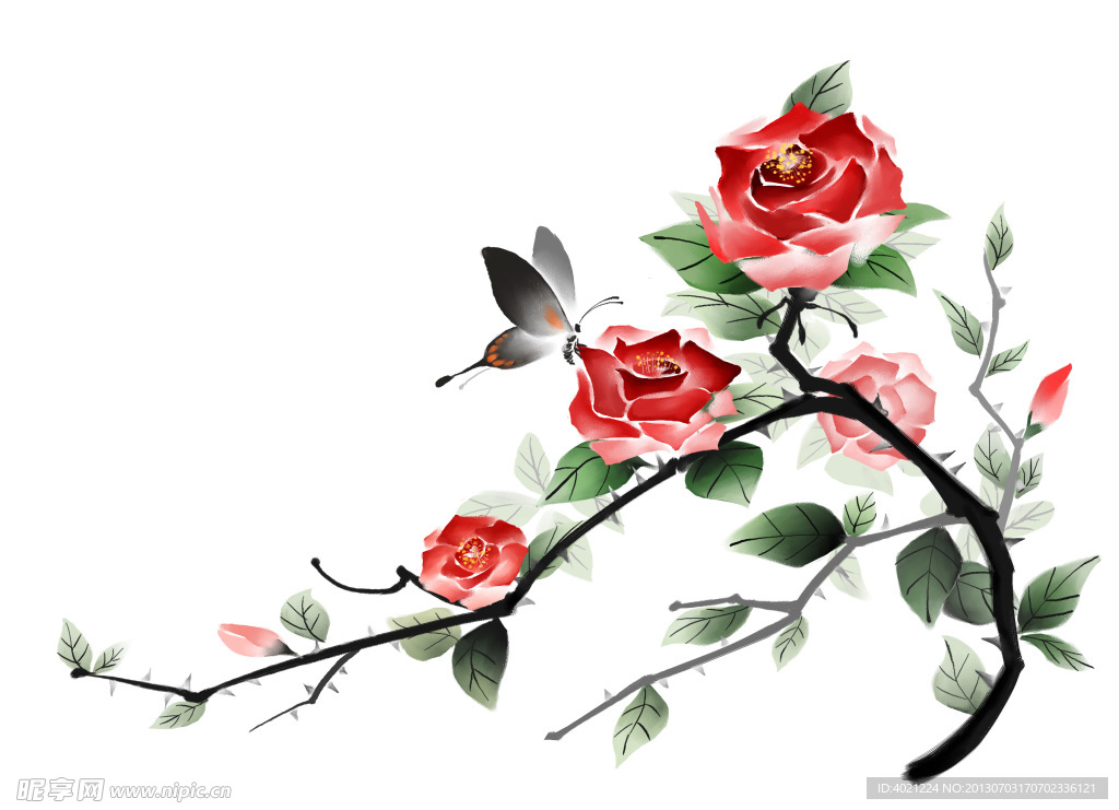 月季花