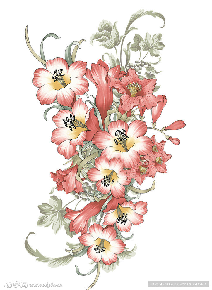 尊貴花