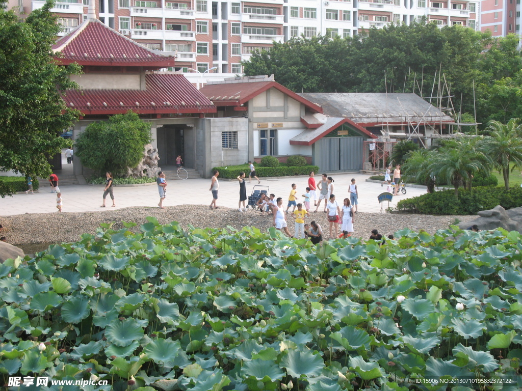 刺桐公園