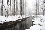 西湖雪景