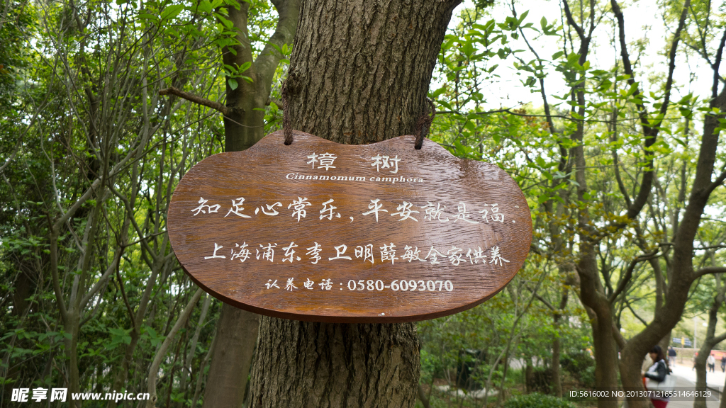 普陀街景
