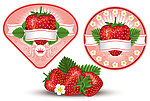 草莓标签