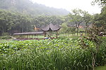 亭林公园自然风景画