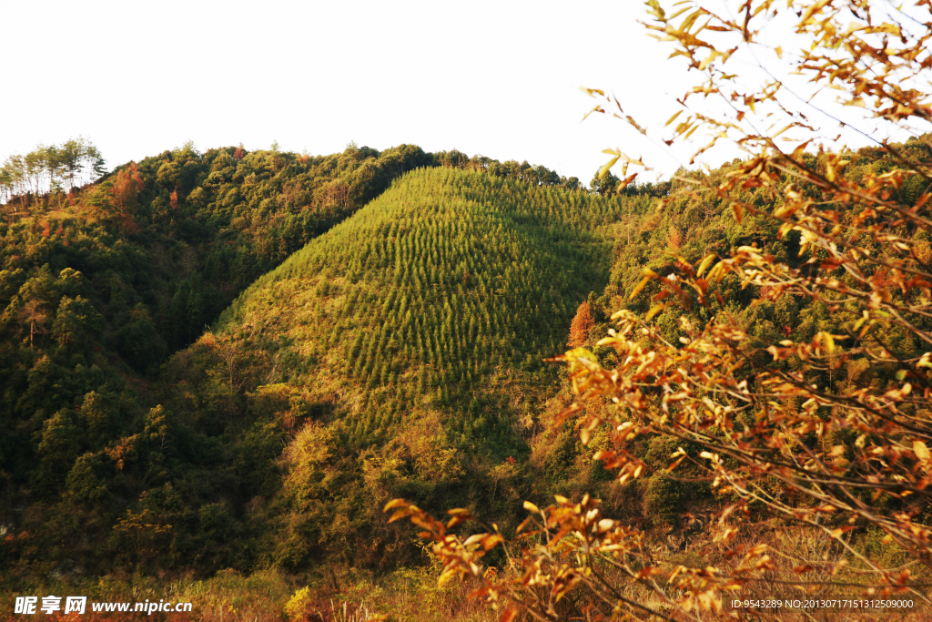 山坡