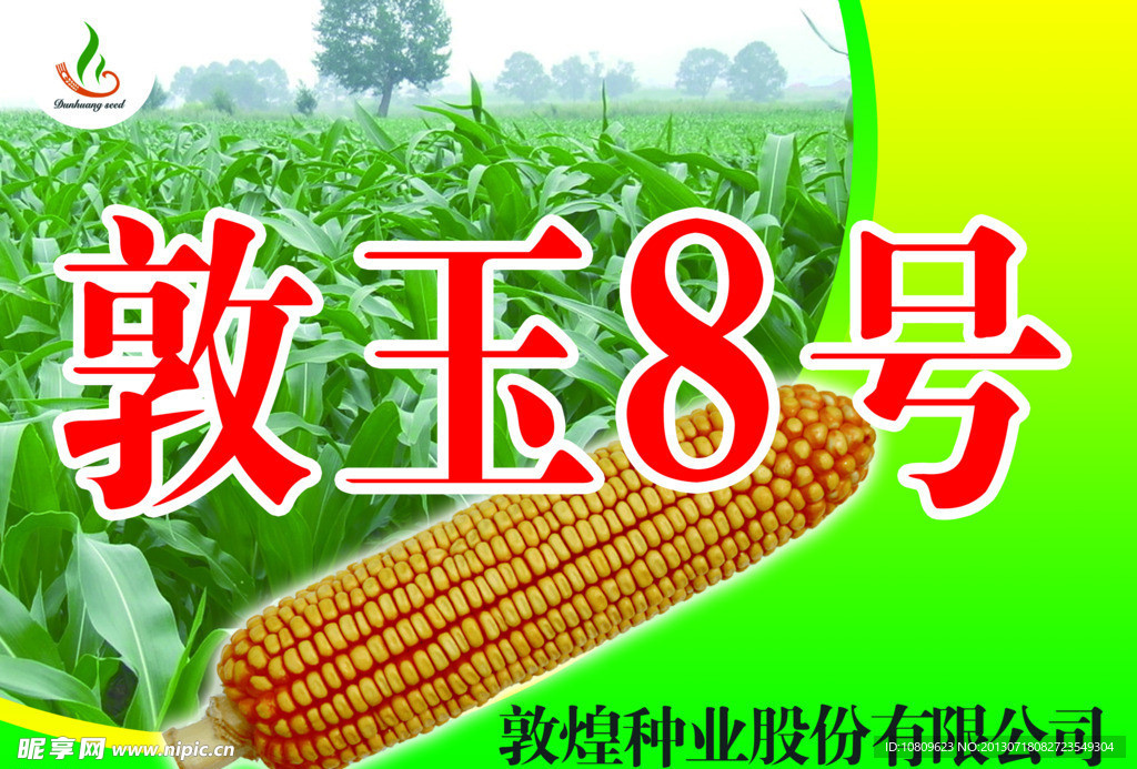 玉米种子宣传海报