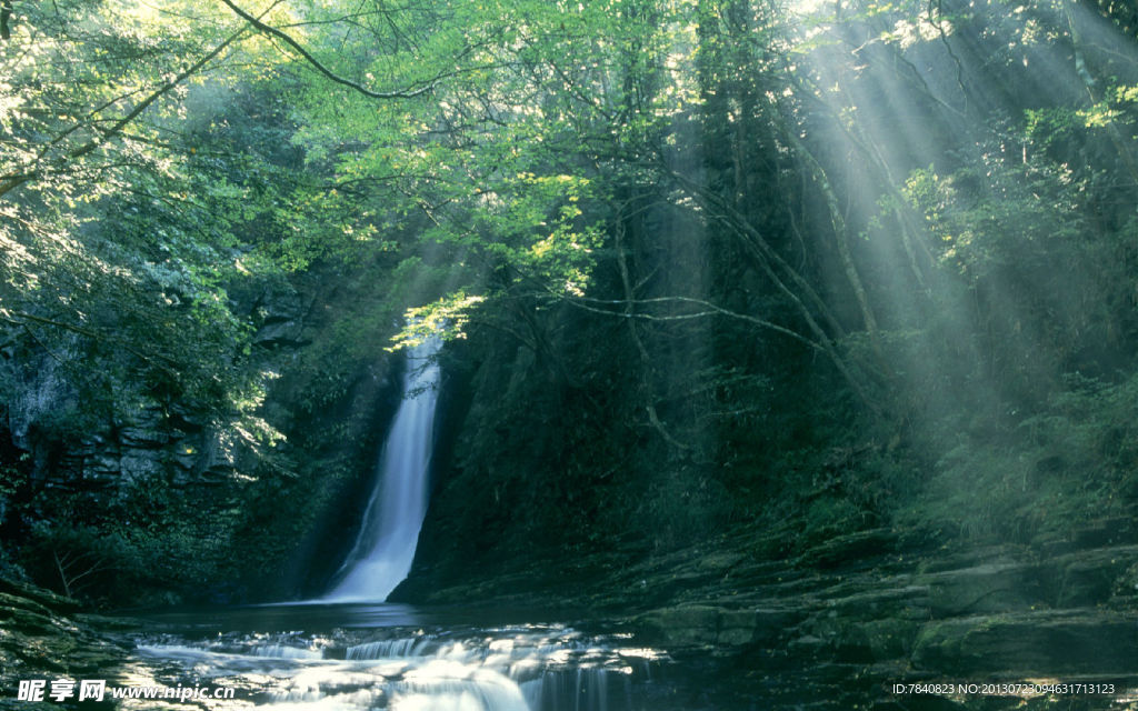 陽光風景