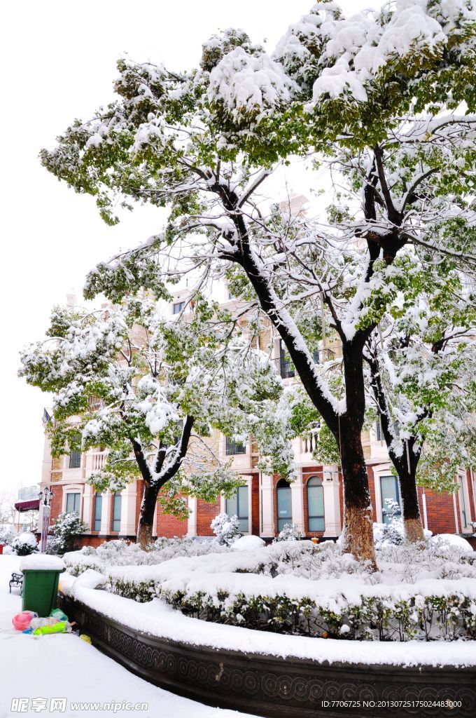城市雪景
