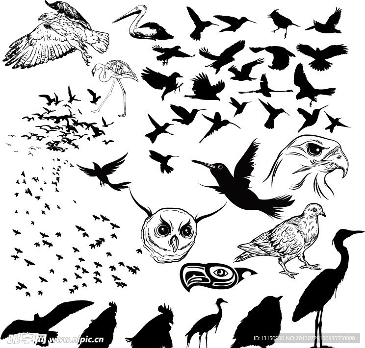 矢量飛鳥源文件