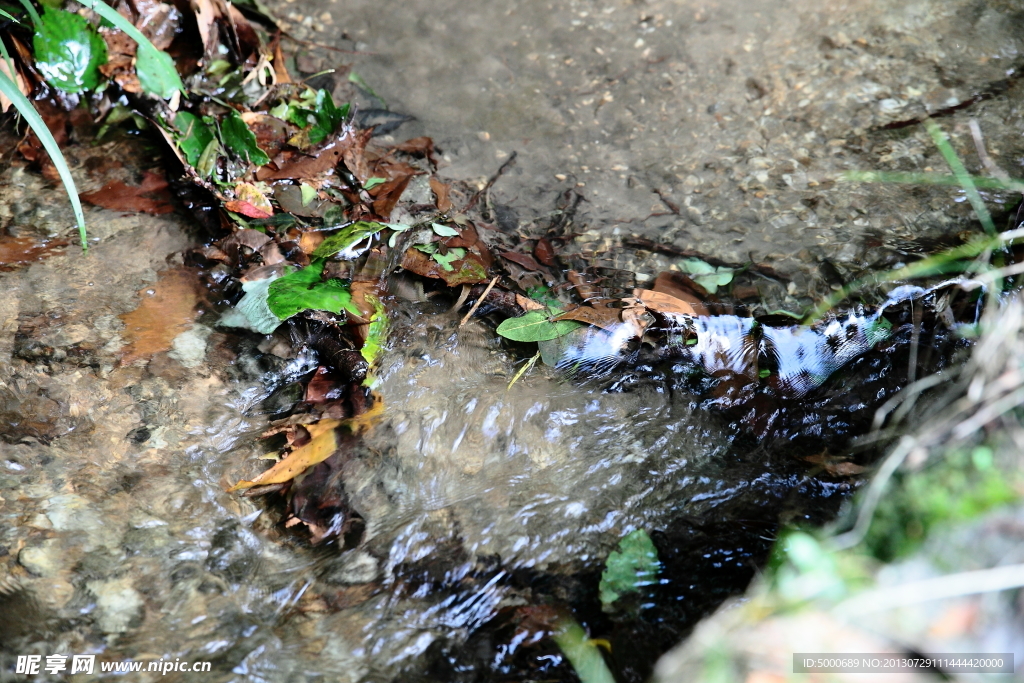 溪水