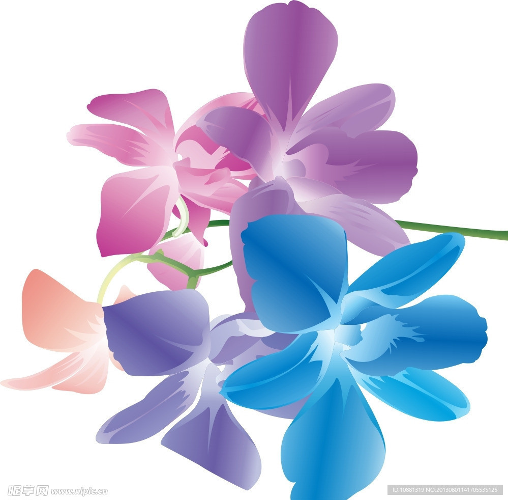 水墨五彩花瓣 花朵