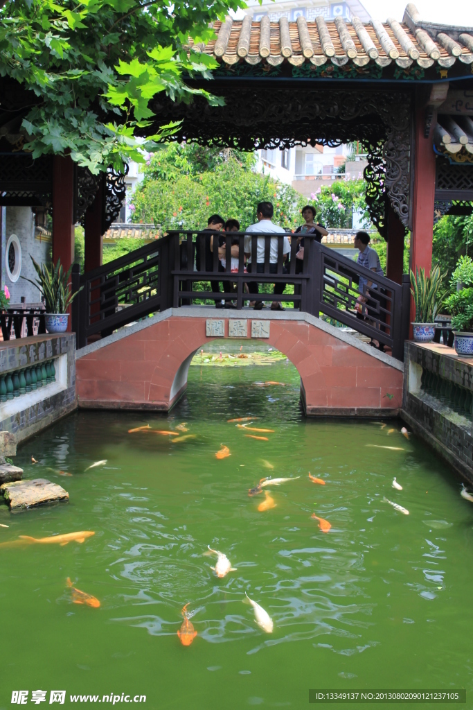 園林錦鯉
