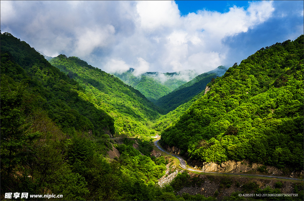綠色山谷
