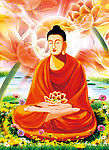 釋迦摩尼佛