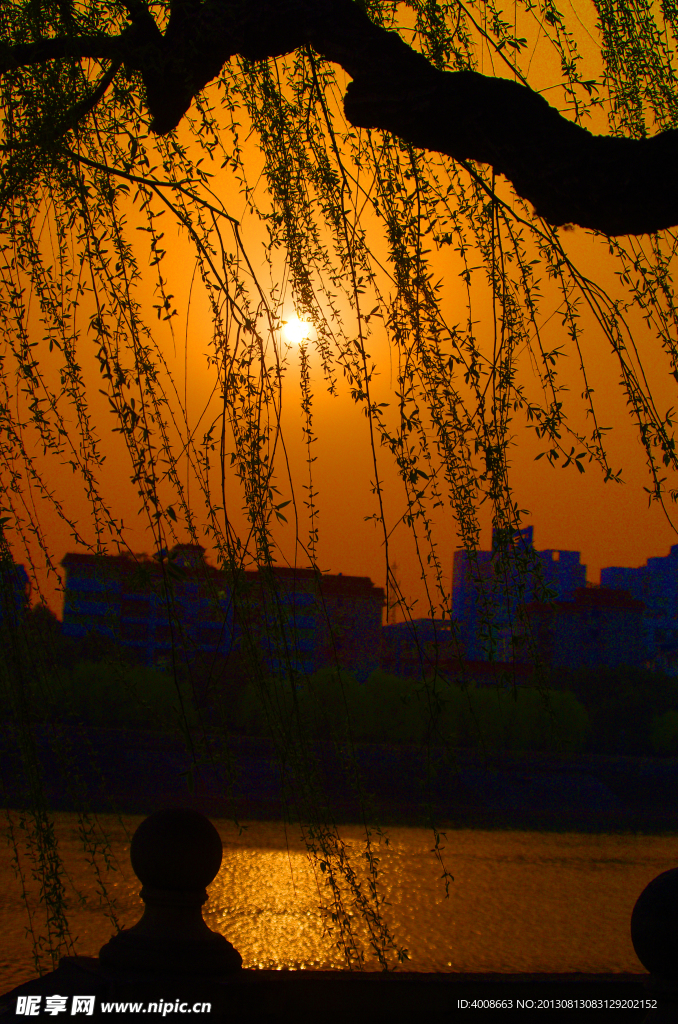 夕陽紅