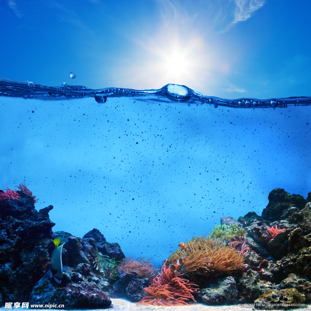 海底世界