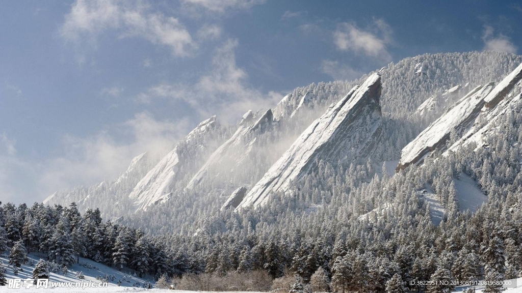 雪山叢林