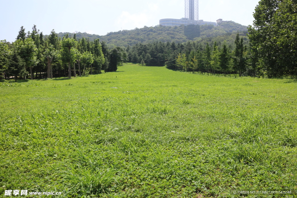 勞動公園 綠地