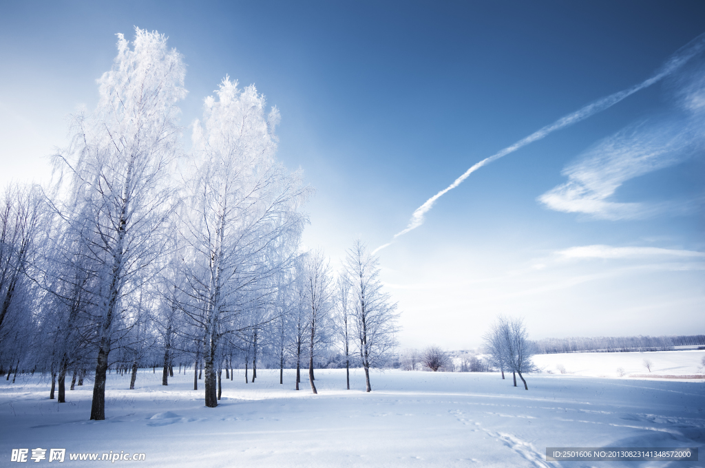 东北雪景