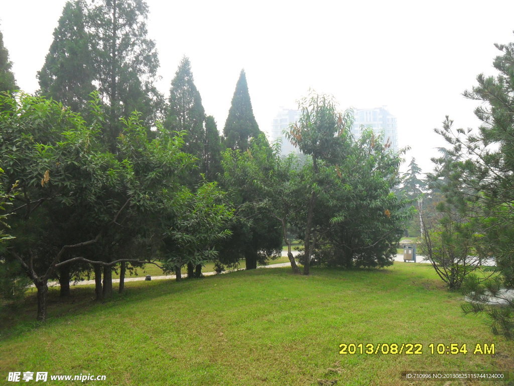 廊坊人民公園草地樹林