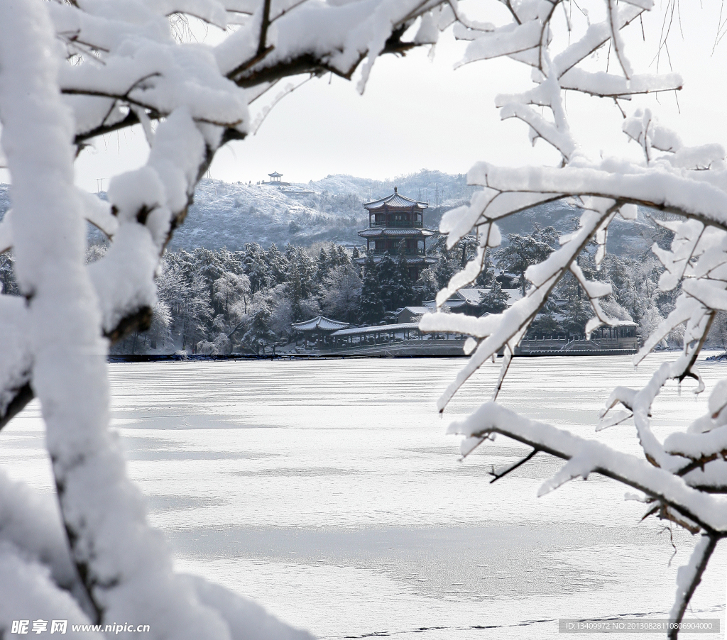 金山雪韻