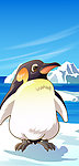 可爱动物绿色南极企鹅