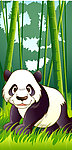 可爱动物绿色森林熊猫