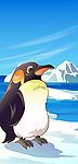 可爱动物绿色南极企鹅