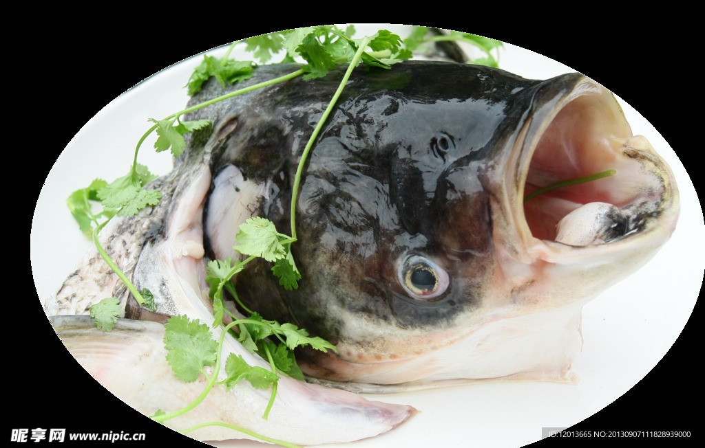 魚頭火鍋