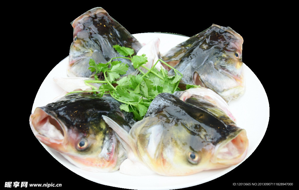 魚頭火鍋
