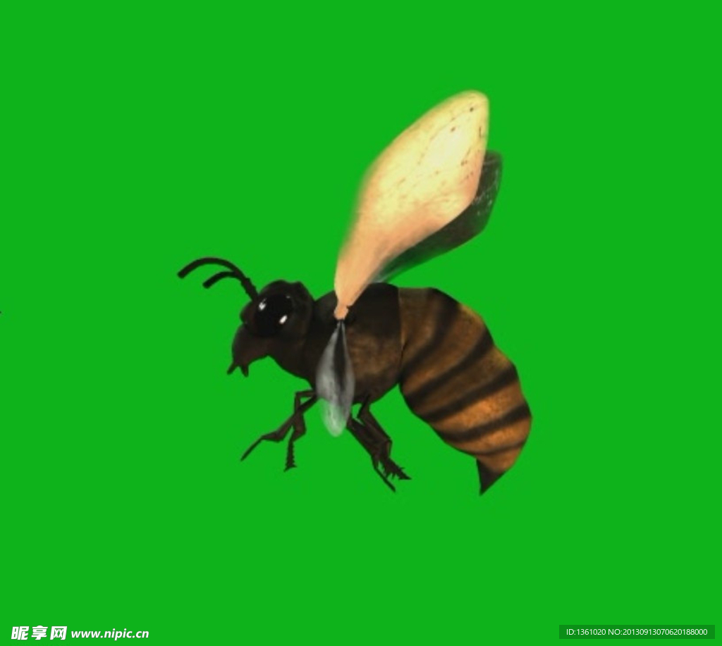 动态蜜蜂视频素材