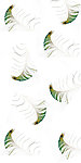 绿色孔雀羽毛