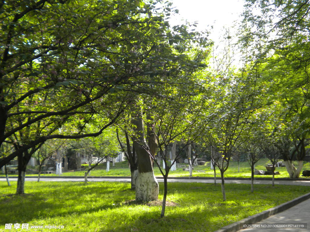 蘇州 大學(xué) 風(fēng)景