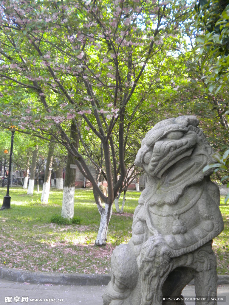 蘇州 大學 風景