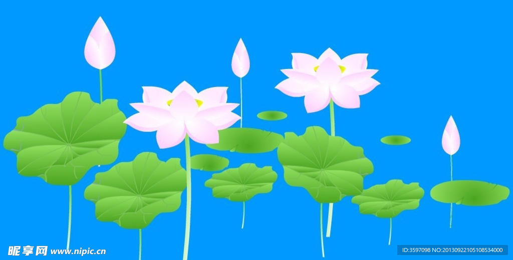 荷花擺動flash