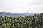 青山