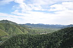 青山