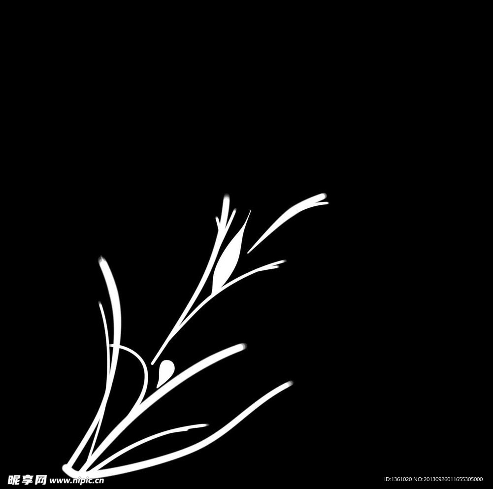 動態(tài)花紋視頻