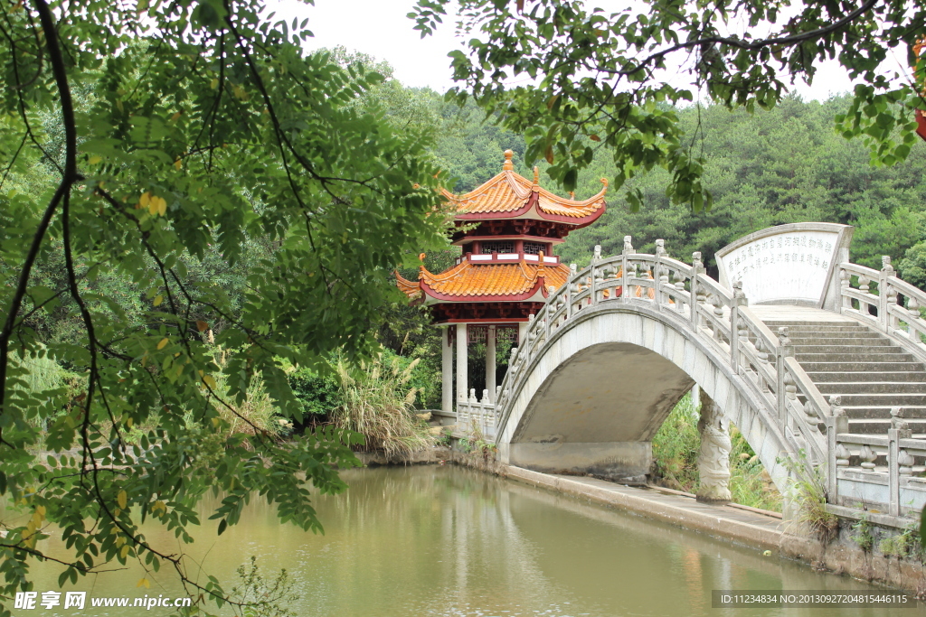 有情的橋