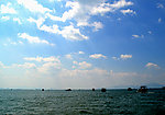 巽寮湾摄影图片