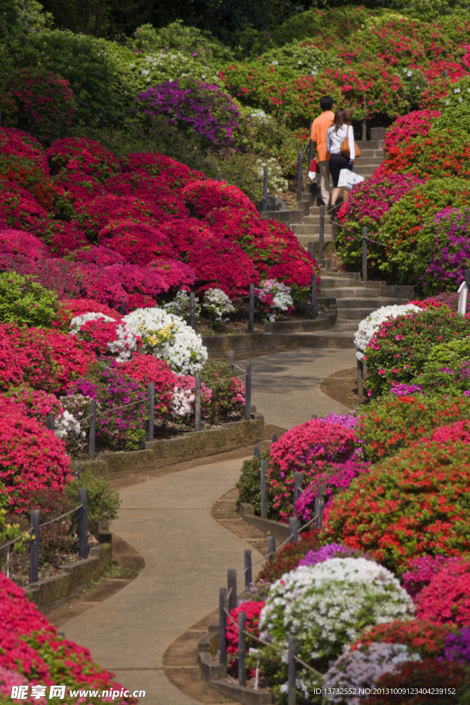 公園